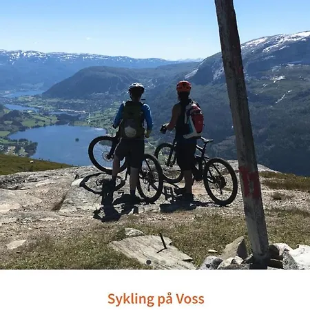 I Trastolen Bavallen Voss 公寓 *